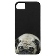 caso triste del iphone 5 del barro amasado iPhone 5 cárcasa