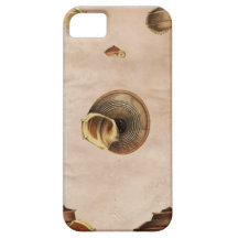 Caso universal de Barely There del iPhone 5 de la  iPhone 5 Case-Mate Cárcasas