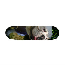 casper monopatin