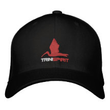 Casquillo bordado Flexifit de TRINISPIRIT® Gorra De Beisbol Bordada
