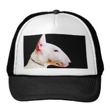 Casquillo de bull terrier gorros bordados