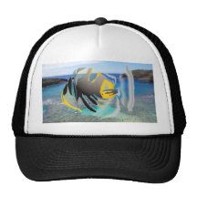 Casquillo de los pescados del disparador de Hawaii Gorras