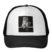 Casquillo del búho de gran gris gorro