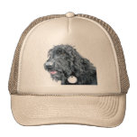 Casquillo negro de Labradoodle Gorra