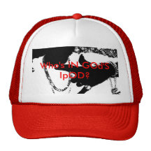 CASQUILLO ROJO DEL JUGO DE JESÚS GORRA