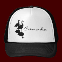 Casquillos del ganso de Canadá y recuerdos del gan gorras