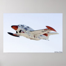 Castaño de Indias del T-2 Poster