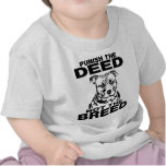 CASTIGUE EL HECHO NO LA RAZA CAMISETAS