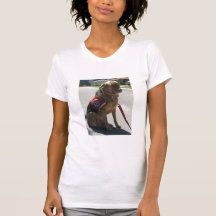 Castigue el hecho no la raza camisetas