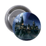 Castillo de Hogwarts en la noche Pins