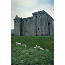 Castillo de la ermita con las ovejas, Escocia Esculturas Fotográficas