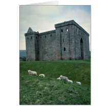 Castillo de la ermita con las ovejas, Escocia Tarjeta