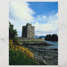 Castillo estrecho del agua, condado abajo, Irlanda Flyer A Todo Color