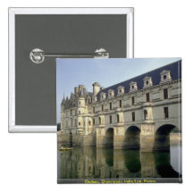 Castillo francés, Chenonceau, Indre/Loir, Francia Pins