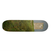 Castillo irlandés tablas de patinar