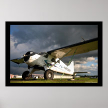 Castor de De Haveland DHC-2 Impresiones