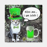 CAT DEL DÍA DE ST PATRICK CON LA CERVEZA IRLANDESA IMÁN PARA FRIGORIFICO