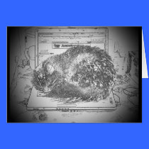 CAT DEL REVESTIMIENTO tarjetas