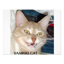 CAT DEL VAMPIRO COMUNICADOS PERSONALIZADOS