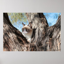 Cat™ gruñón en un poster del árbol