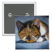 CAT QUE SE AGACHA: LÁPIZ DEL COLOR PIN