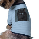 CAT ROPA DE PERRO
