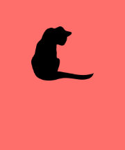 cat t shirts