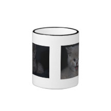 Cat Tee Tasse