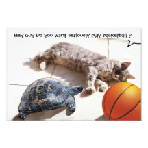 CAT, TORTUGA Y BALONCESTO ARTE CON FOTOS