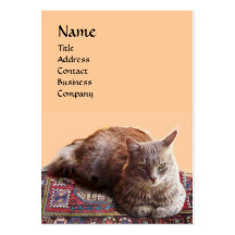 CAT TURCO EN EL VIEJO MONOGRAMA DE LA ALFOMBRA TARJETAS PERSONALES