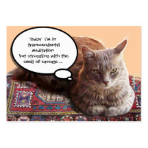 CAT TURCO EN LA MEDITACIÓN TRASCENDENTAL PLANTILLAS DE TARJETA DE NEGOCIO
