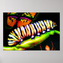 Caterpillar con arte de la mariposa y de la araña poster