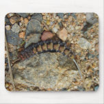 Caterpillar mullido cerca de la piedra alfombrillas de ratón