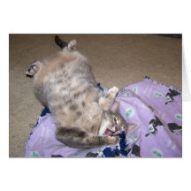 Catnip 2 felicitaciones