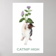 Catnip alto impresiones