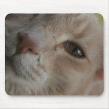 Catpad Tapete De Ratón