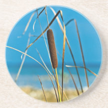 Cattail en un práctico de costa soleado de la play posavasos manualidades