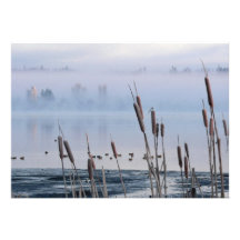 Cattails de la orilla del lago en niebla de la mañ comunicado personal  