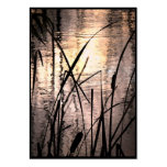 Cattails en el ATC de la puesta del sol Tarjetas De Negocios