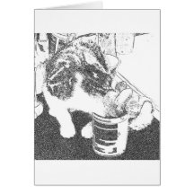 catyums tarjeta