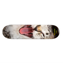 CAZADOR DEL KAT PATINES 