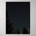 Cazo grande poster