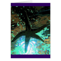 CB de las estrellas de mar Tarjeton