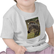Cebra Camiseta