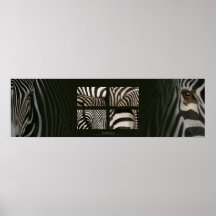 Cebra maqueta poster