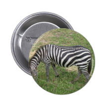 Cebra Pins