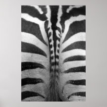 Cebra Strips Posters