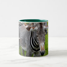 Cebra Taza De Café