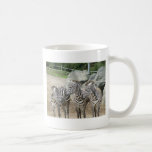 cebra taza de café