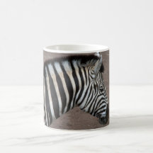 Cebra Taza De Café